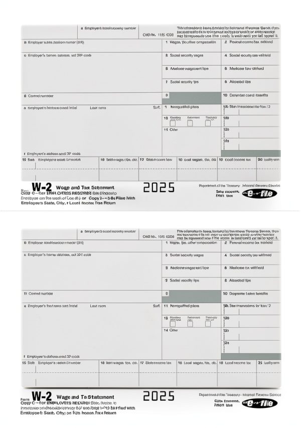 W2 Forms 2025 Bundle by FENTASY 6‑Part Tax Form Pack for 25 Employees-3